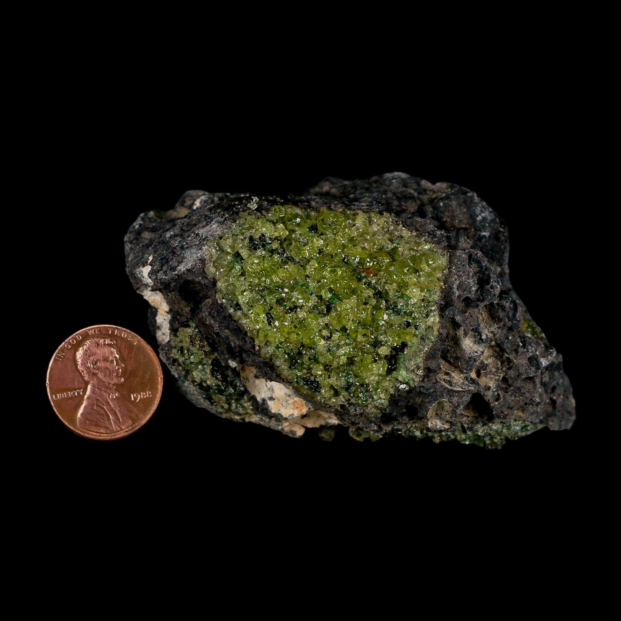 3.2" Emerald Peridot Crystals, Chrome Diopside And Spinel On Volcanic Rock Gila, AZ - Fossil Age Minerals