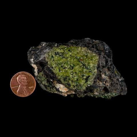 3.2" Emerald Peridot Crystals, Chrome Diopside And Spinel On Volcanic Rock Gila, AZ - Fossil Age Minerals