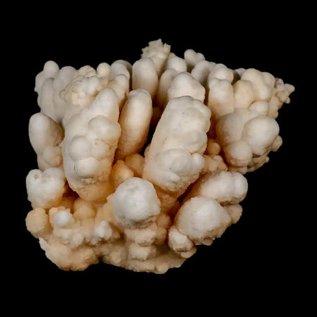 3.7" Botryoidal Aragonite Cave Calcite Crystal Cluster Mineral Specimen Morocco