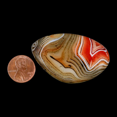 2.1" Natural Polished Red Silk Banded Agate Chalcedony Mineral Specimen - Fossil Age Minerals
