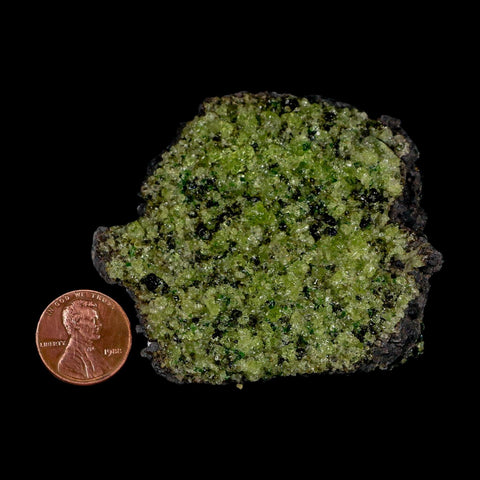 2.6" Emerald Peridot Crystals, Chrome Diopside And Spinel On Volcanic Rock Gila, AZ - Fossil Age Minerals