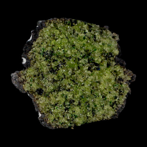 2.6" Emerald Peridot Crystals, Chrome Diopside And Spinel On Volcanic Rock Gila, AZ - Fossil Age Minerals