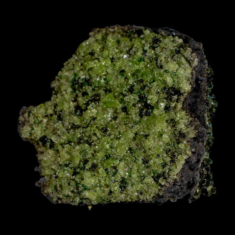 2.6" Emerald Peridot Crystals, Chrome Diopside And Spinel On Volcanic Rock Gila, AZ - Fossil Age Minerals