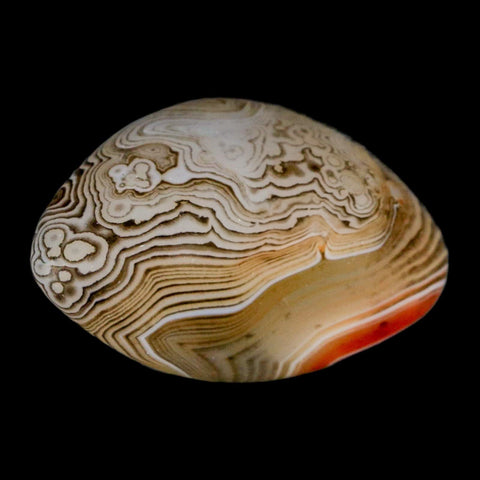 2.1" Natural Polished Red Silk Banded Agate Chalcedony Mineral Specimen - Fossil Age Minerals