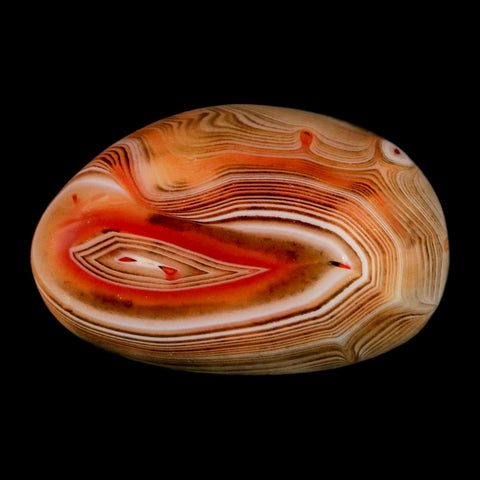2" Natural Polished Red Silk Banded Agate Chalcedony Mineral Specimen - Fossil Age Minerals