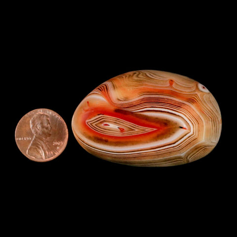 2" Natural Polished Red Silk Banded Agate Chalcedony Mineral Specimen - Fossil Age Minerals