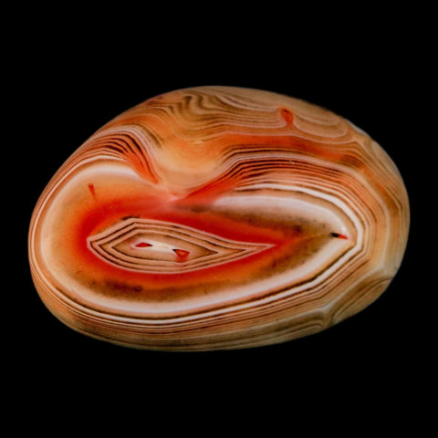 2" Natural Polished Red Silk Banded Agate Chalcedony Mineral Specimen - Fossil Age Minerals