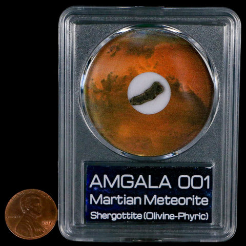 Mars Rock Martian Meteorite Amgala 001 Shergottite Olivine-Phyric COA And Display - Fossil Age Minerals