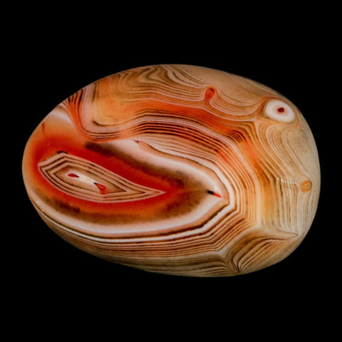 2" Natural Polished Red Silk Banded Agate Chalcedony Mineral Specimen - Fossil Age Minerals