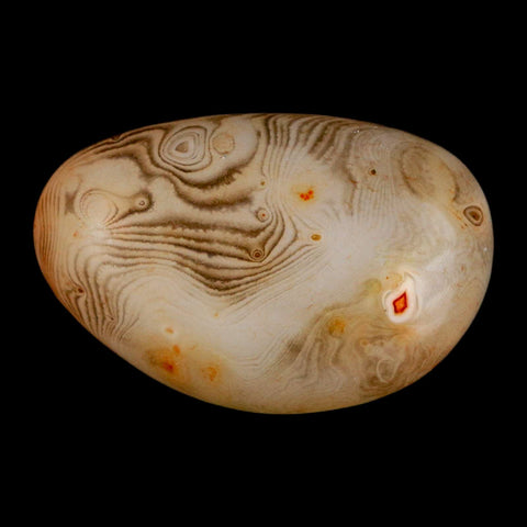 2" Natural Polished Red Silk Banded Agate Chalcedony Mineral Specimen - Fossil Age Minerals