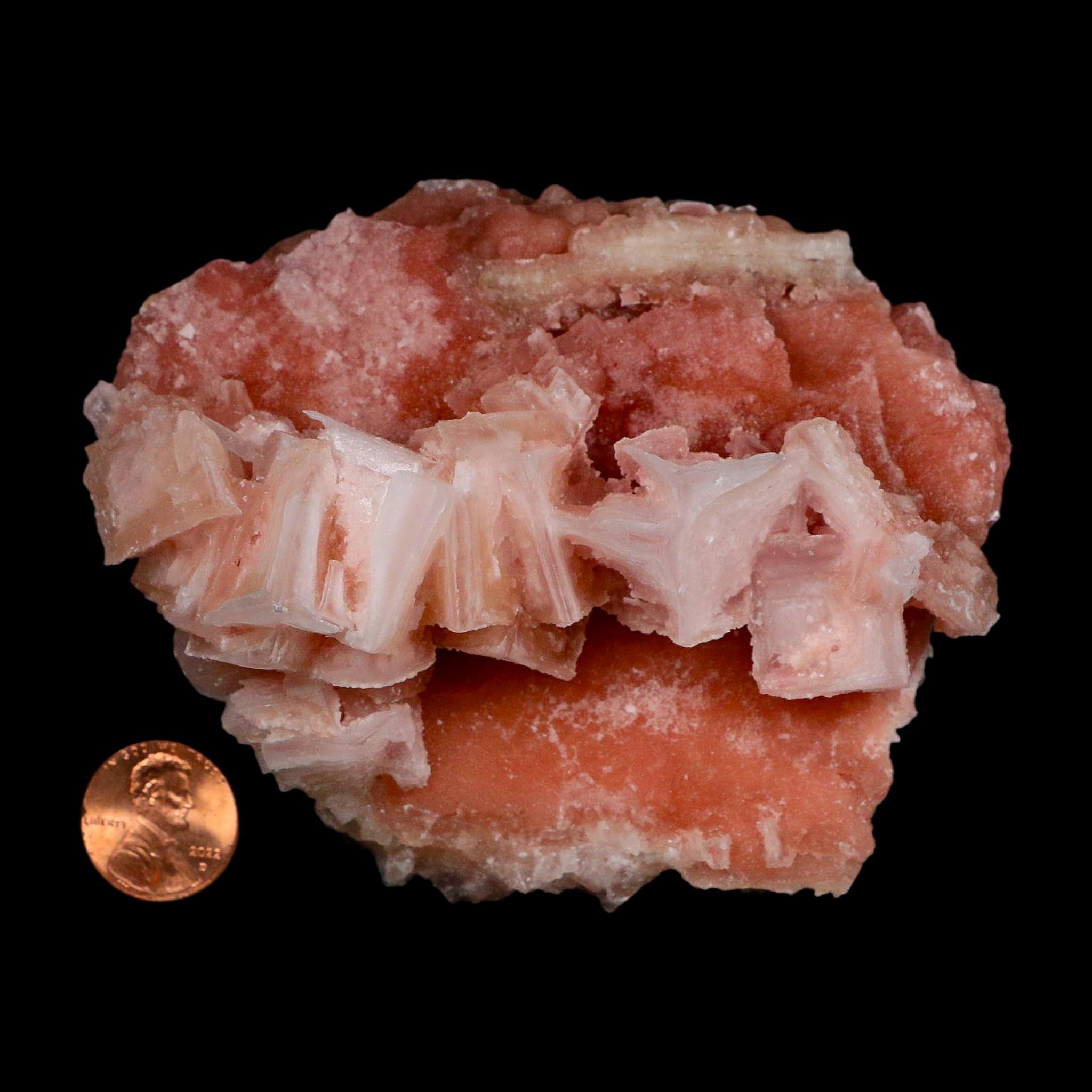 4" Quality Deep Pink Halite Salt Crystals Cluster Mineral Trona, CA Searles Lake