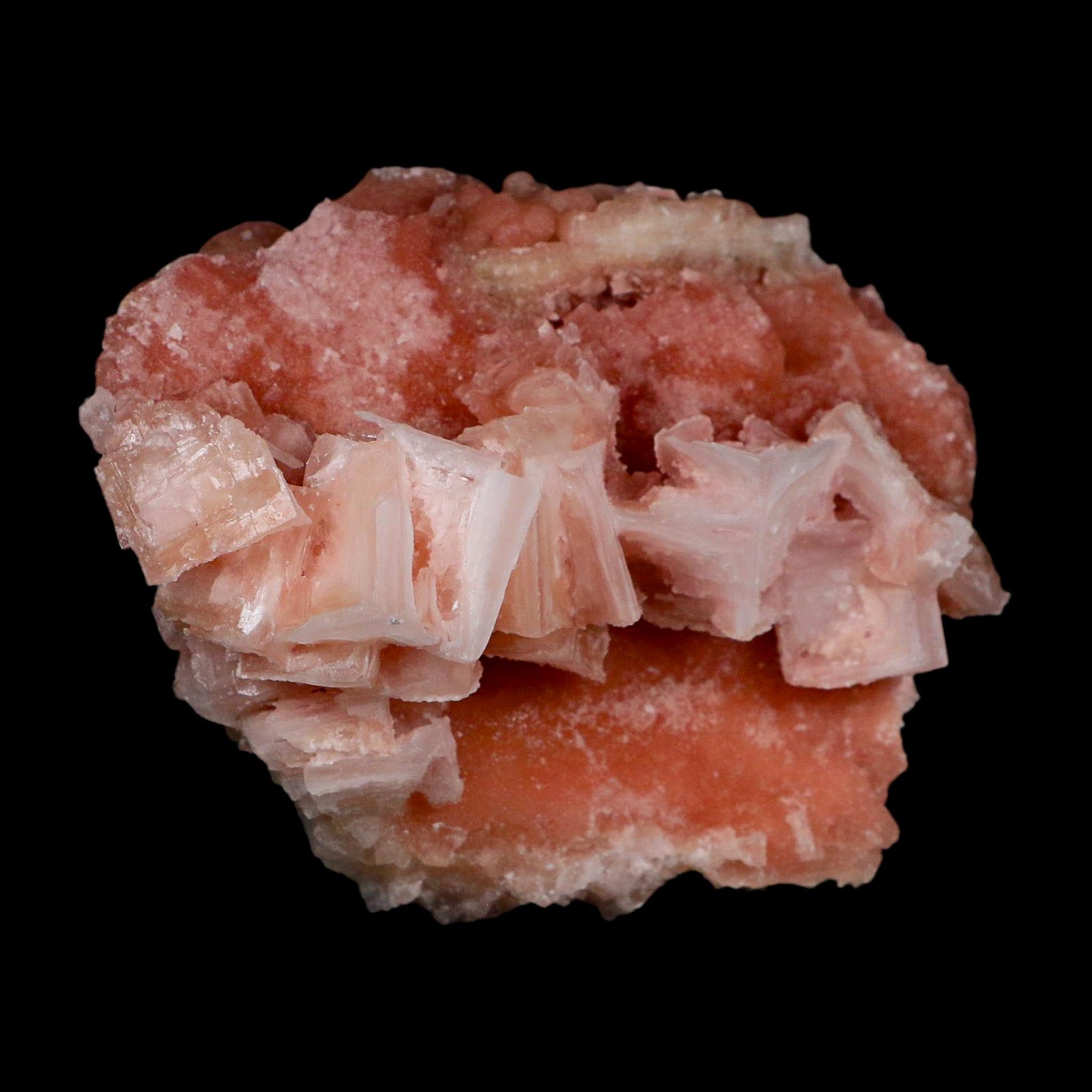 4" Quality Deep Pink Halite Salt Crystals Cluster Mineral Trona, CA Searles Lake