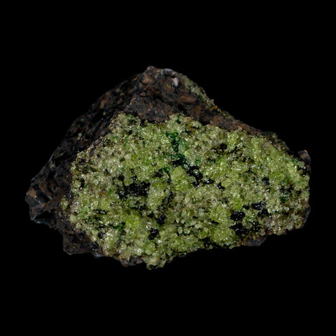 3.1" Emerald Peridot Crystals, Chrome Diopside And Spinel On Volcanic Rock Gila, AZ - Fossil Age Minerals