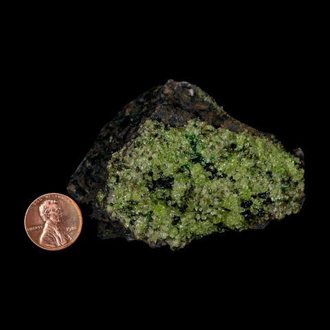 3.1" Emerald Peridot Crystals, Chrome Diopside And Spinel On Volcanic Rock Gila, AZ - Fossil Age Minerals