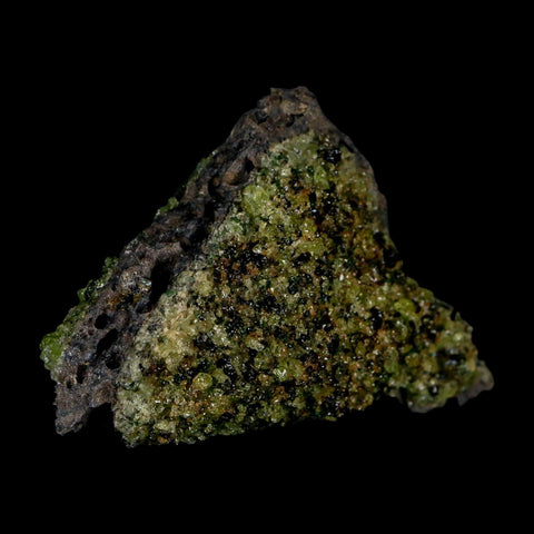 2.5" Emerald Peridot Crystals, Chrome Diopside And Spinel On Volcanic Rock Gila, AZ - Fossil Age Minerals