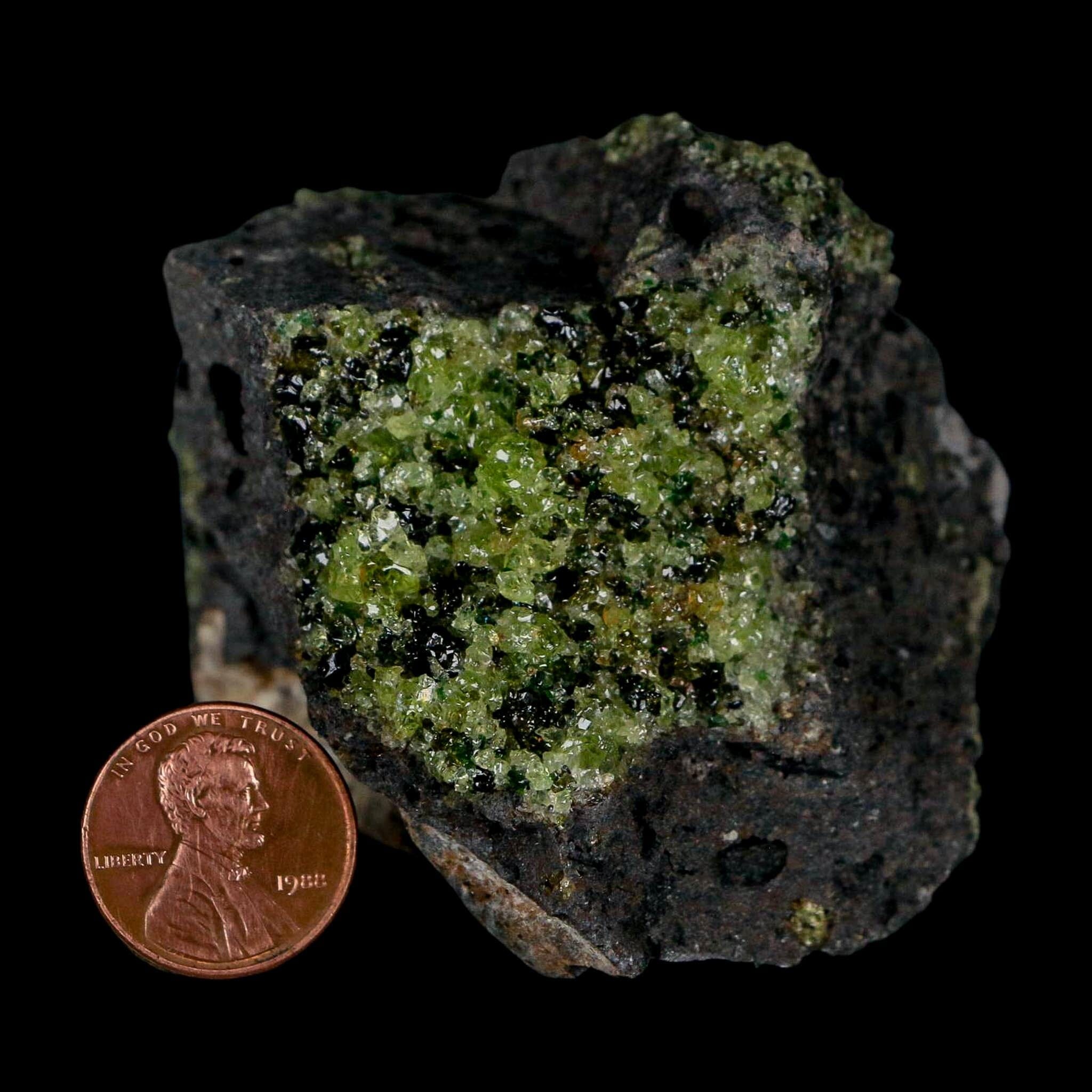 2.5" Emerald Peridot Crystals, Chrome Diopside And Spinel On Volcanic Rock Gila, AZ - Fossil Age Minerals