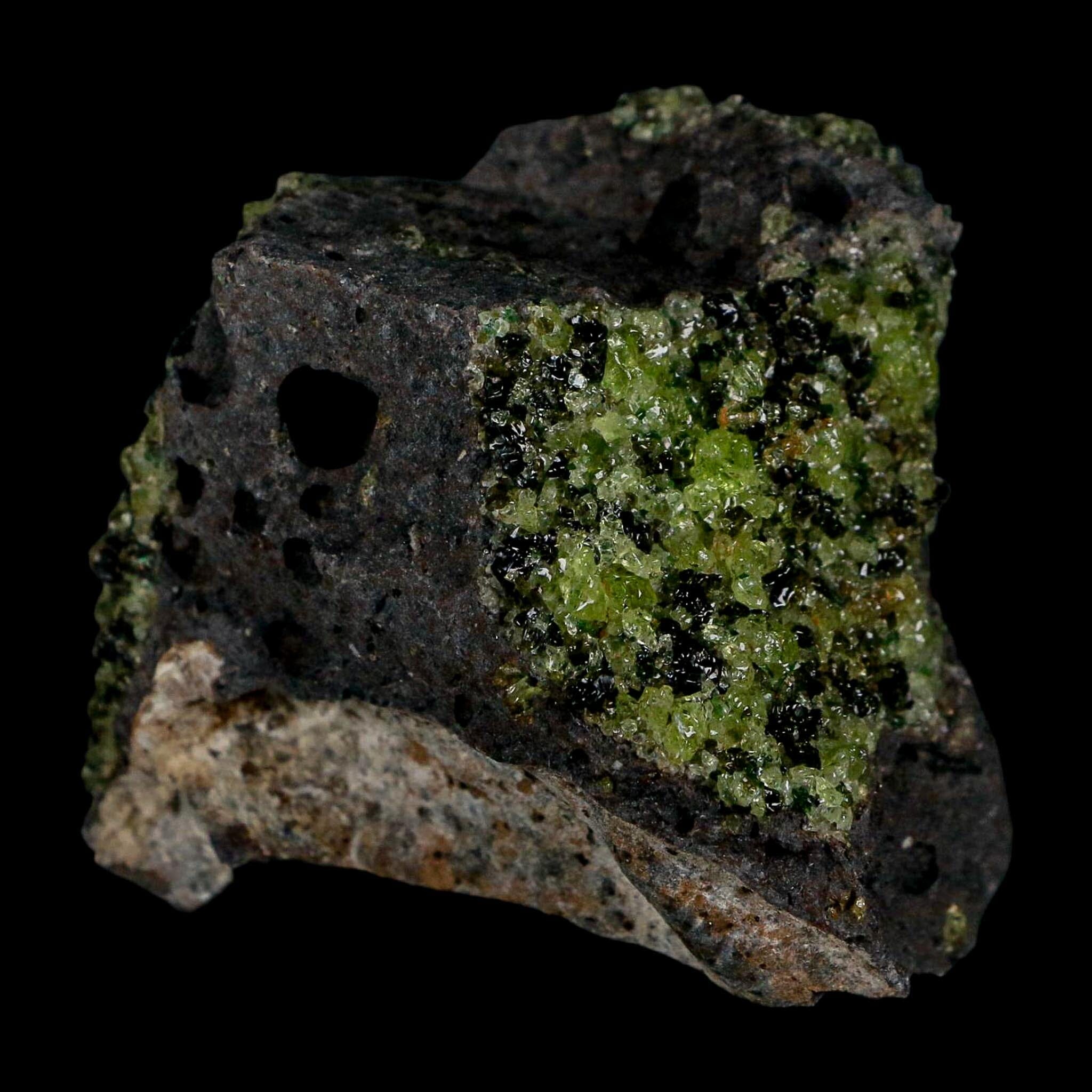 2.5" Emerald Peridot Crystals, Chrome Diopside And Spinel On Volcanic Rock Gila, AZ - Fossil Age Minerals