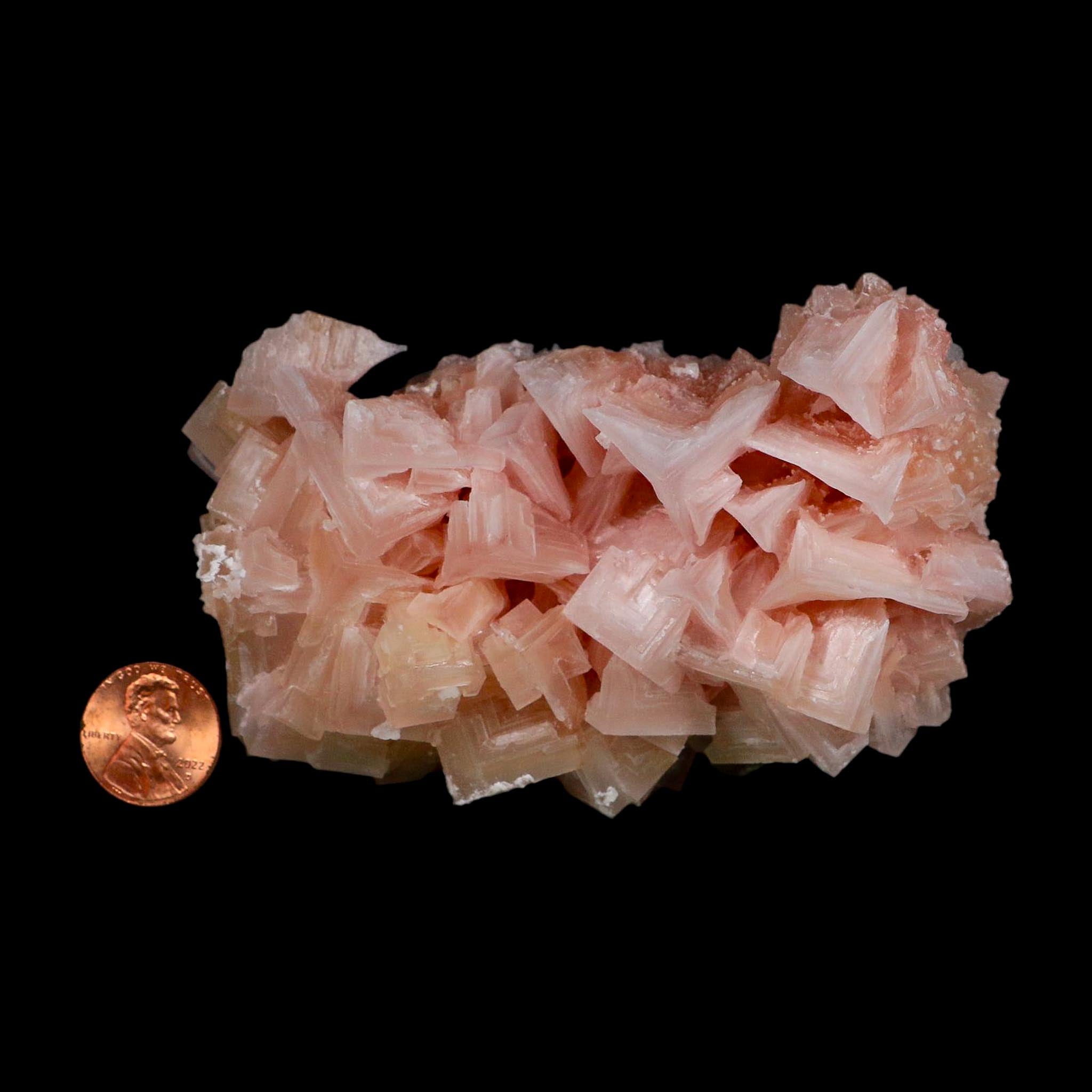 4.1" Quality Deep Pink Halite Salt Crystals Cluster Mineral Trona, CA Searles Lake