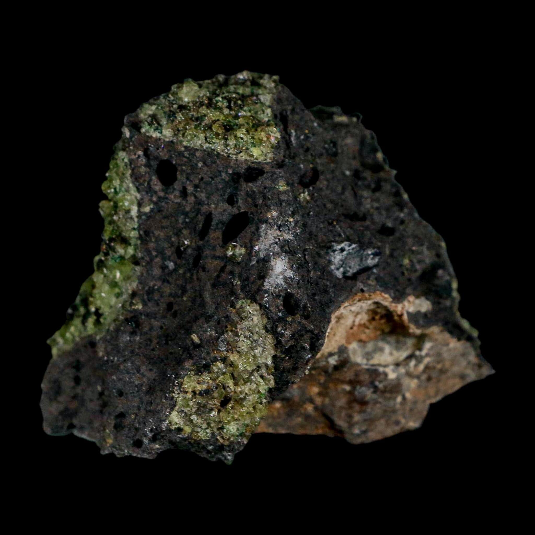 2.5" Emerald Peridot Crystals, Chrome Diopside And Spinel On Volcanic Rock Gila, AZ - Fossil Age Minerals