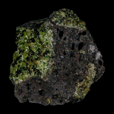 2.5" Emerald Peridot Crystals, Chrome Diopside And Spinel On Volcanic Rock Gila, AZ - Fossil Age Minerals