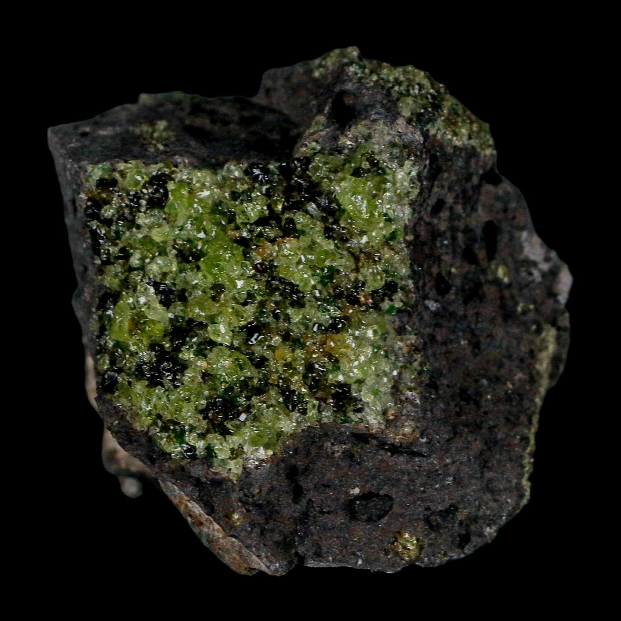 2.5" Emerald Peridot Crystals, Chrome Diopside And Spinel On Volcanic Rock Gila, AZ - Fossil Age Minerals
