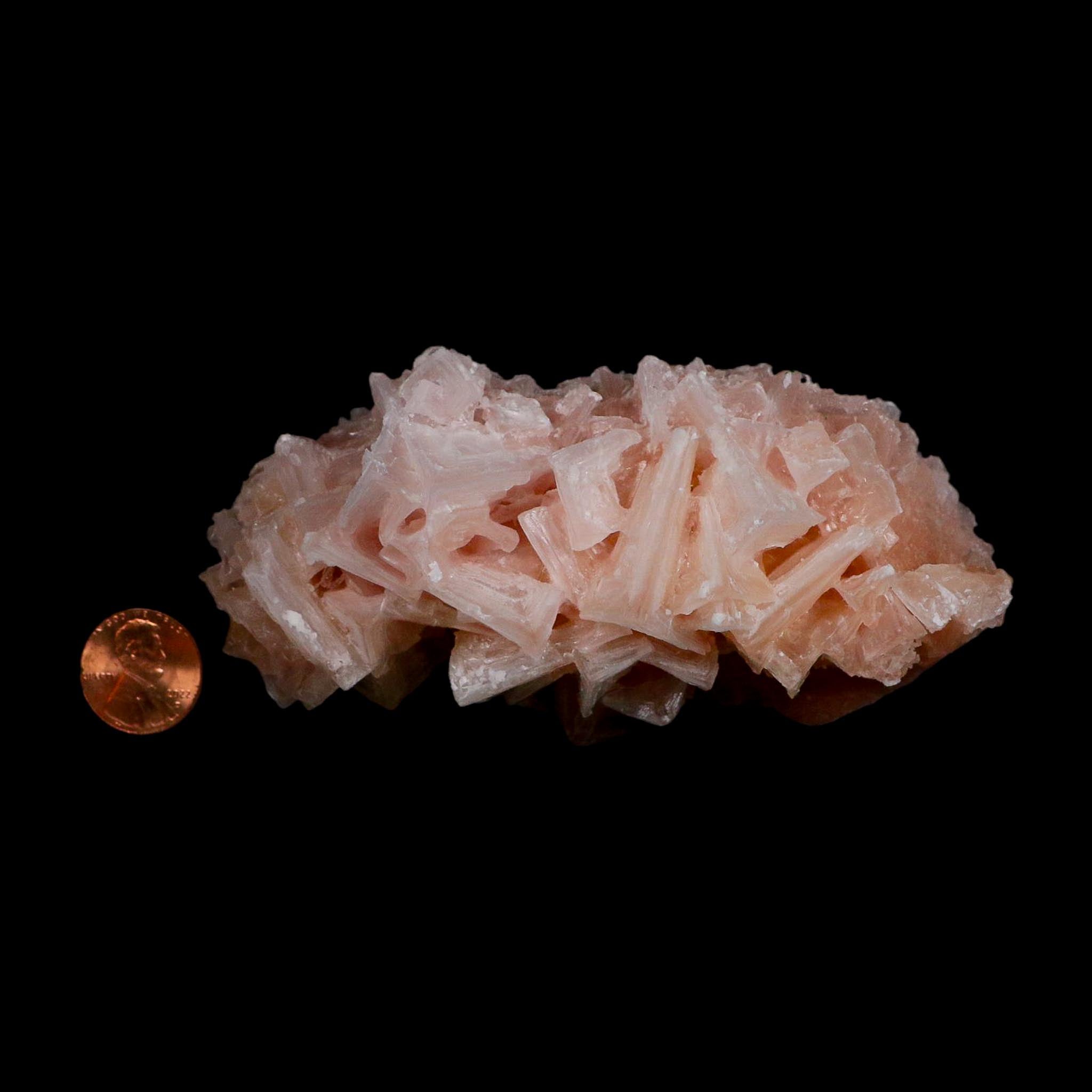 4.5" Quality Deep Pink Halite Salt Crystals Cluster Mineral Trona, CA Searles Lake