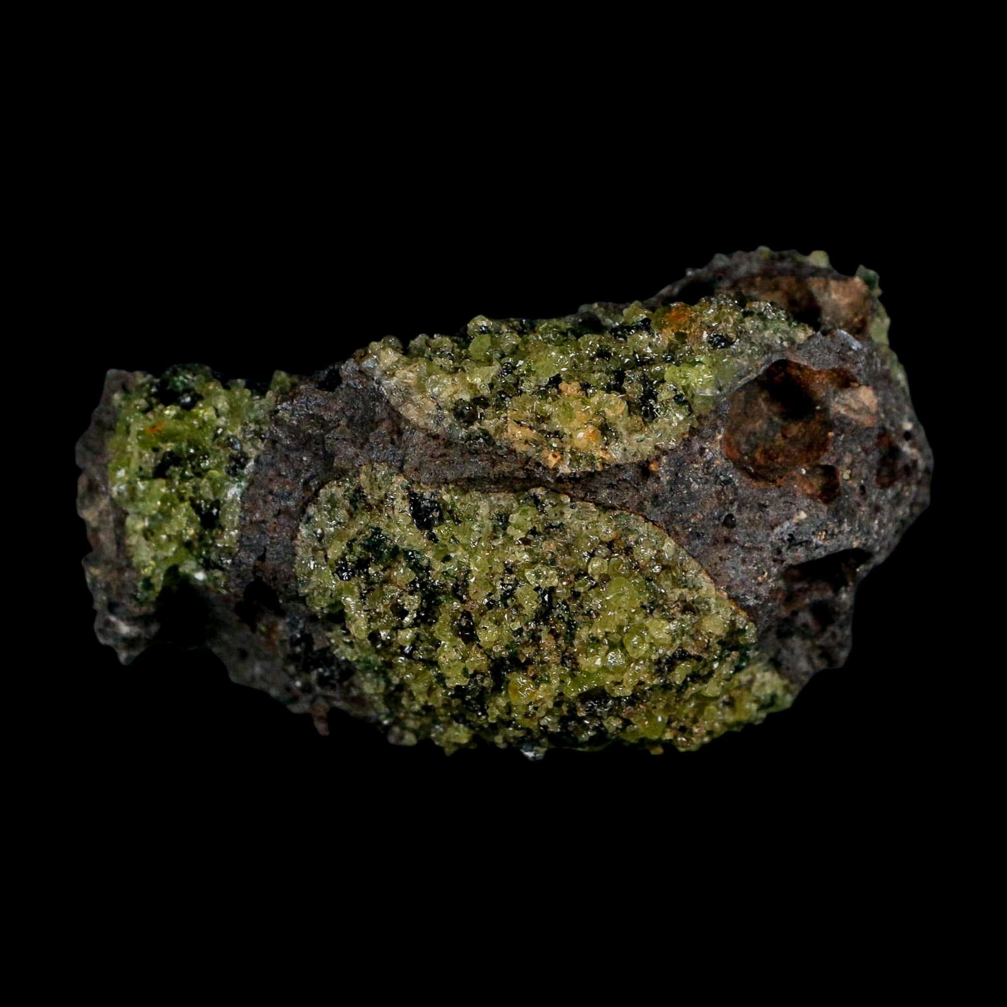 3" Emerald Peridot Crystals, Chrome Diopside And Spinel On Volcanic Rock Gila, AZ - Fossil Age Minerals