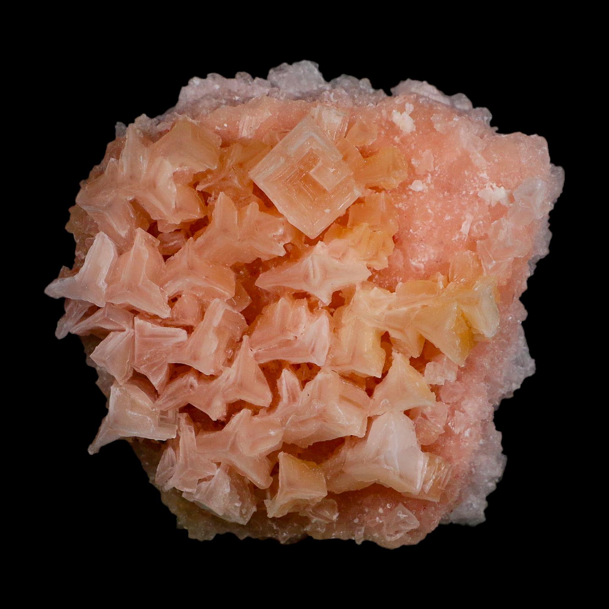 3.7" Quality Deep Pink Halite Salt Crystals Cluster Mineral Trona, CA Searles Lake