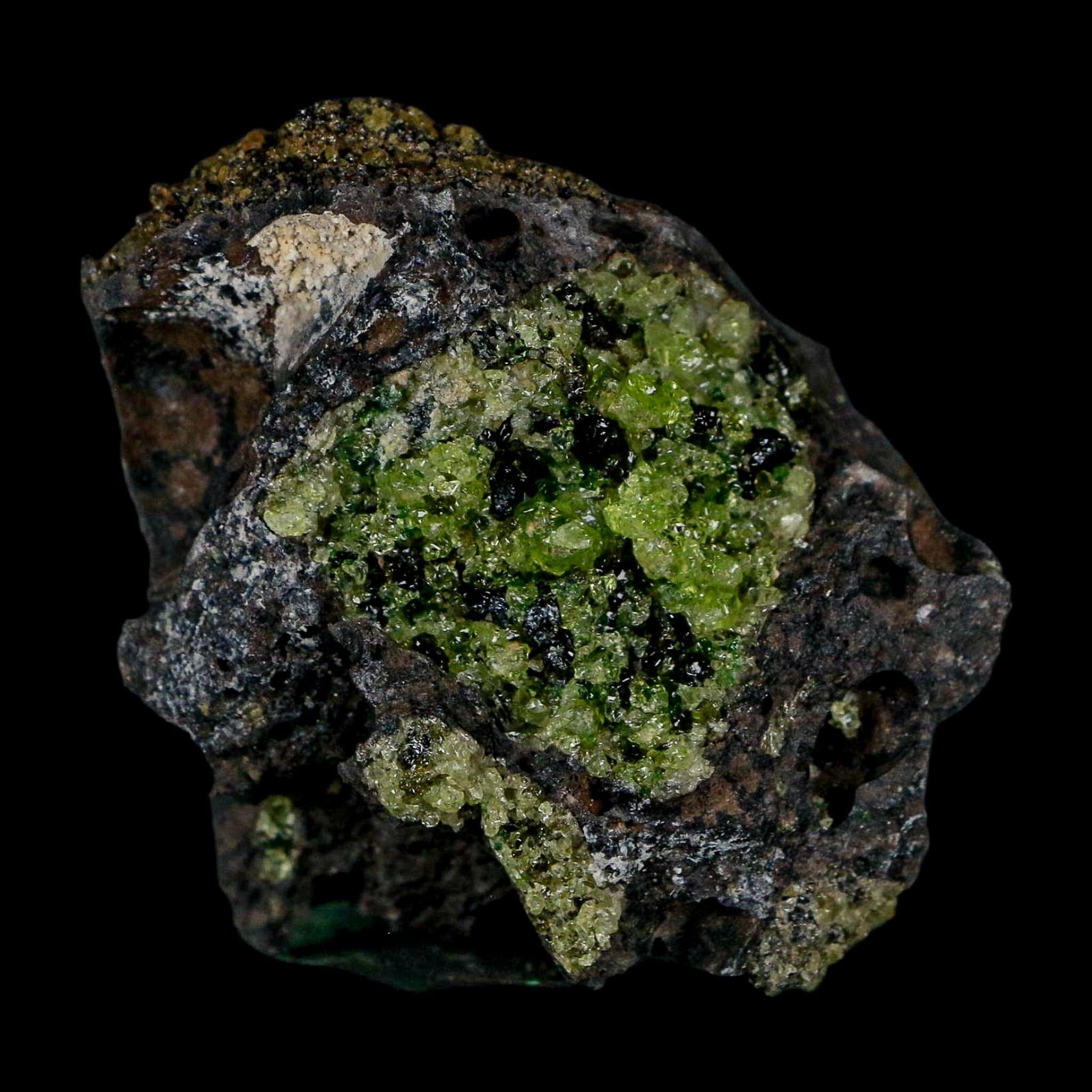 2.5" Emerald Peridot Crystals, Chrome Diopside And Spinel On Volcanic Rock Gila, AZ - Fossil Age Minerals