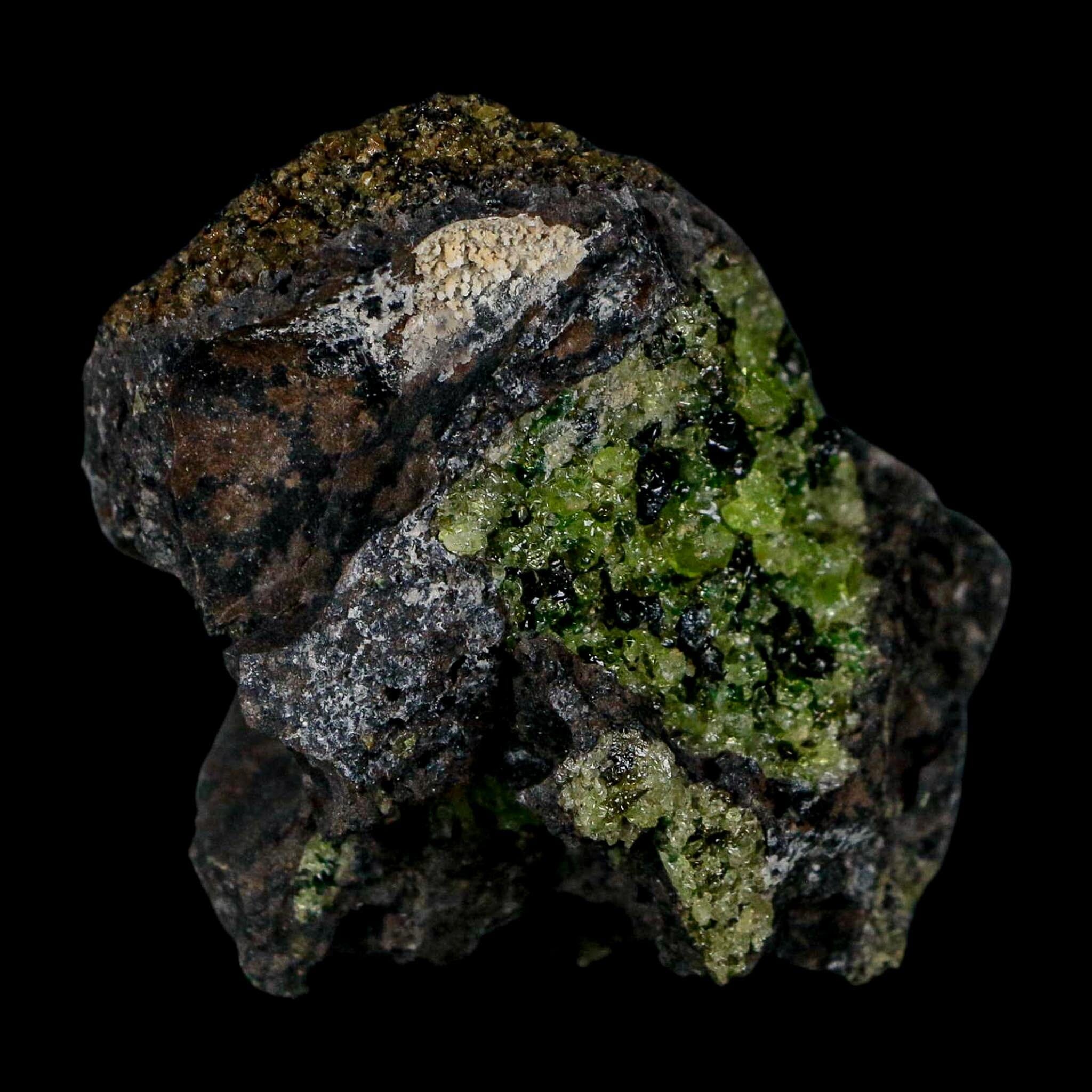 2.5" Emerald Peridot Crystals, Chrome Diopside And Spinel On Volcanic Rock Gila, AZ - Fossil Age Minerals