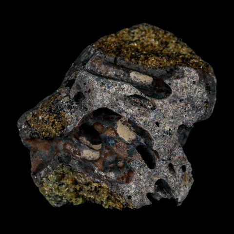 2.5" Emerald Peridot Crystals, Chrome Diopside And Spinel On Volcanic Rock Gila, AZ - Fossil Age Minerals