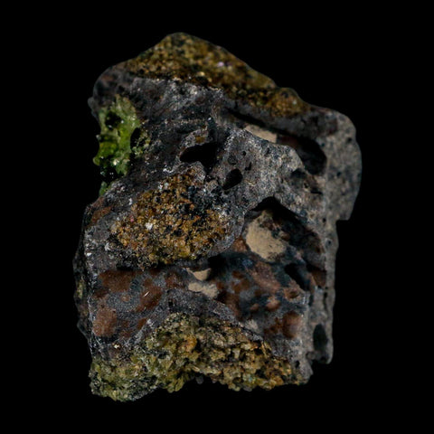2.5" Emerald Peridot Crystals, Chrome Diopside And Spinel On Volcanic Rock Gila, AZ - Fossil Age Minerals