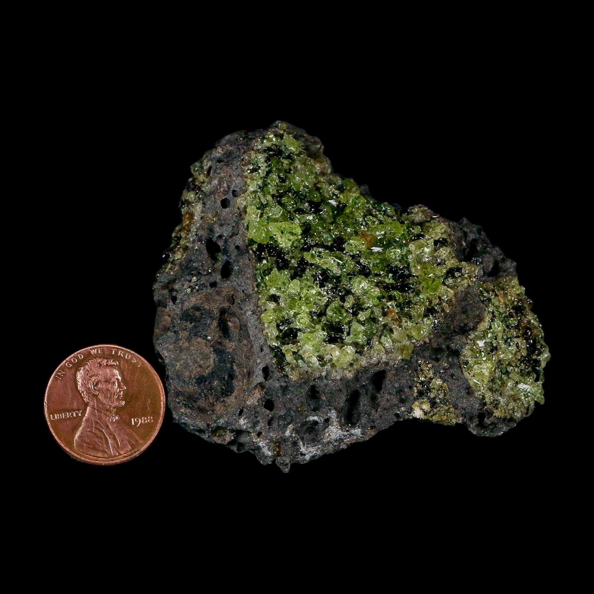 2.4" Emerald Peridot Crystals, Chrome Diopside And Spinel On Volcanic Rock Gila, AZ - Fossil Age Minerals