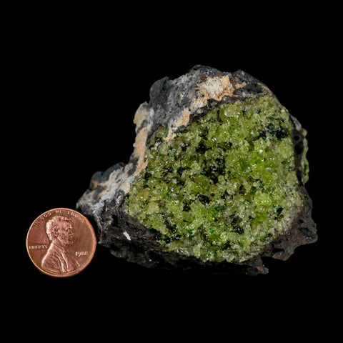 2.4" Emerald Peridot Crystals, Chrome Diopside And Spinel On Volcanic Rock Gila, AZ - Fossil Age Minerals