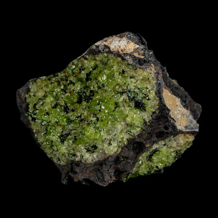 2.4" Emerald Peridot Crystals, Chrome Diopside And Spinel On Volcanic Rock Gila, AZ