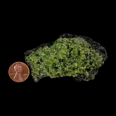 3.1" Emerald Peridot Crystals, Chrome Diopside And Spinel On Volcanic Rock Gila, AZ - Fossil Age Minerals