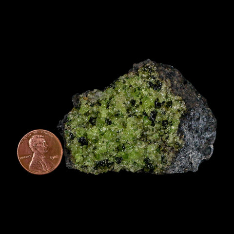 2.6" Emerald Peridot Crystals, Chrome Diopside And Spinel On Volcanic Rock Gila, AZ - Fossil Age Minerals