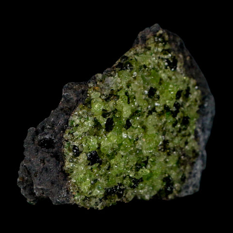 2.6" Emerald Peridot Crystals, Chrome Diopside And Spinel On Volcanic Rock Gila, AZ - Fossil Age Minerals