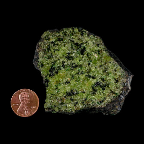 2.6" Emerald Peridot Crystals, Chrome Diopside And Spinel On Volcanic Rock Gila, AZ - Fossil Age Minerals
