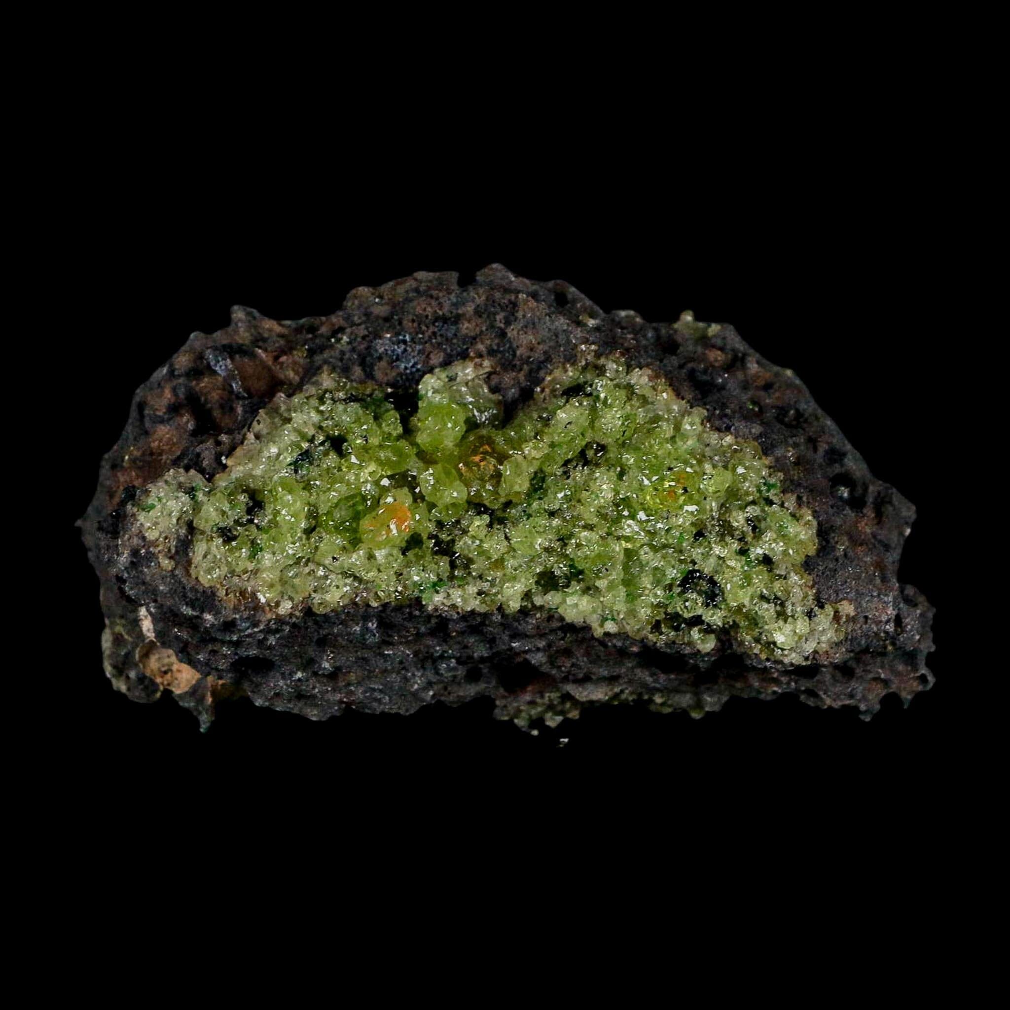 3" Emerald Peridot Crystals, Chrome Diopside And Spinel On Volcanic Rock Gila, AZ - Fossil Age Minerals