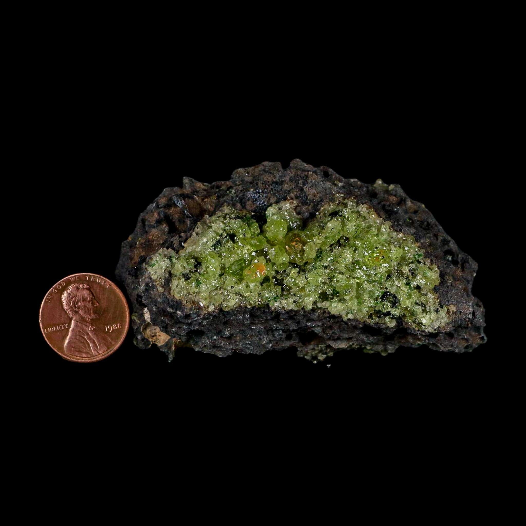 3" Emerald Peridot Crystals, Chrome Diopside And Spinel On Volcanic Rock Gila, AZ - Fossil Age Minerals