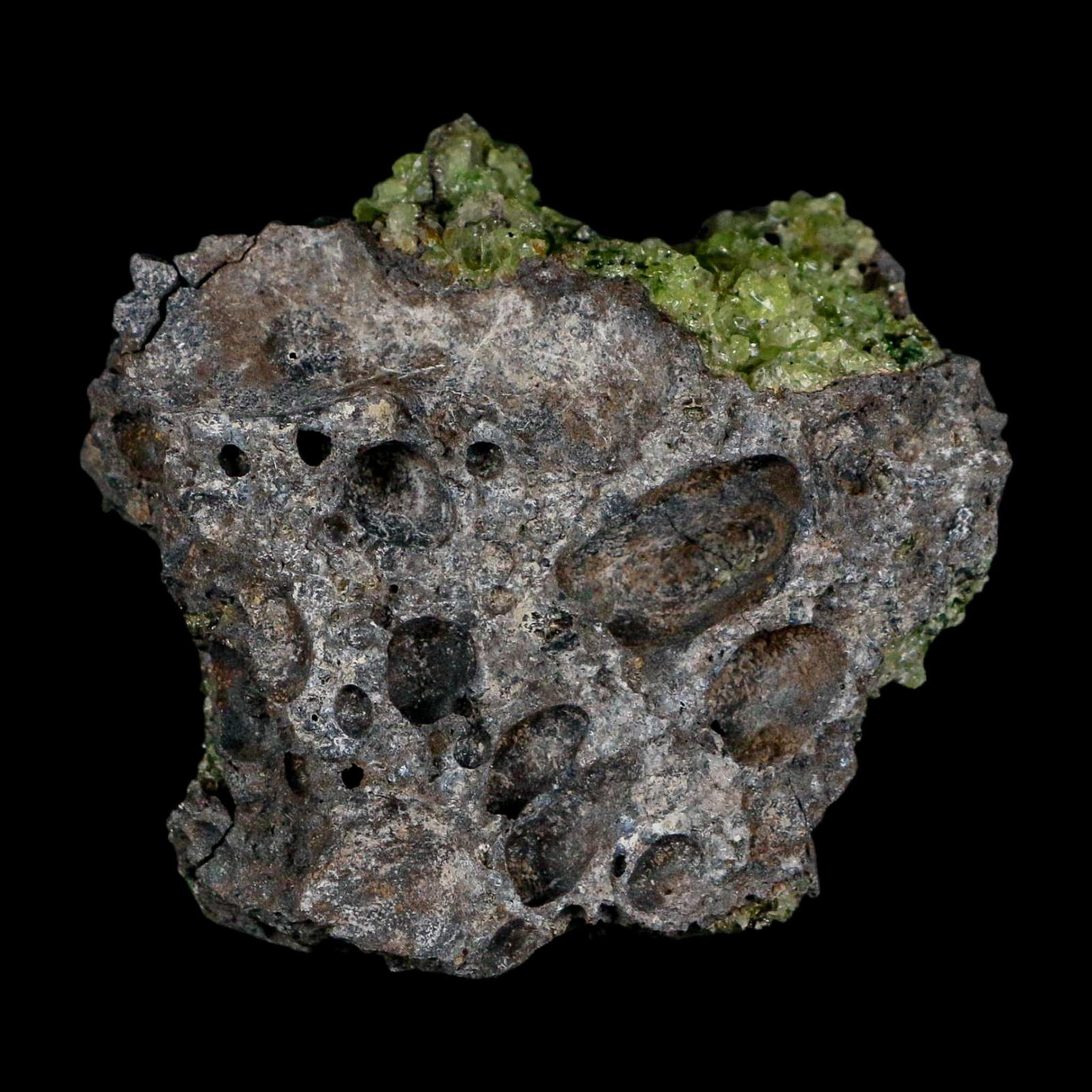 2.3" Emerald Peridot Crystals, Chrome Diopside And Spinel On Volcanic Rock Gila, AZ - Fossil Age Minerals