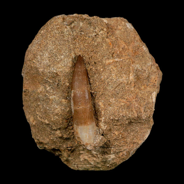 1.8