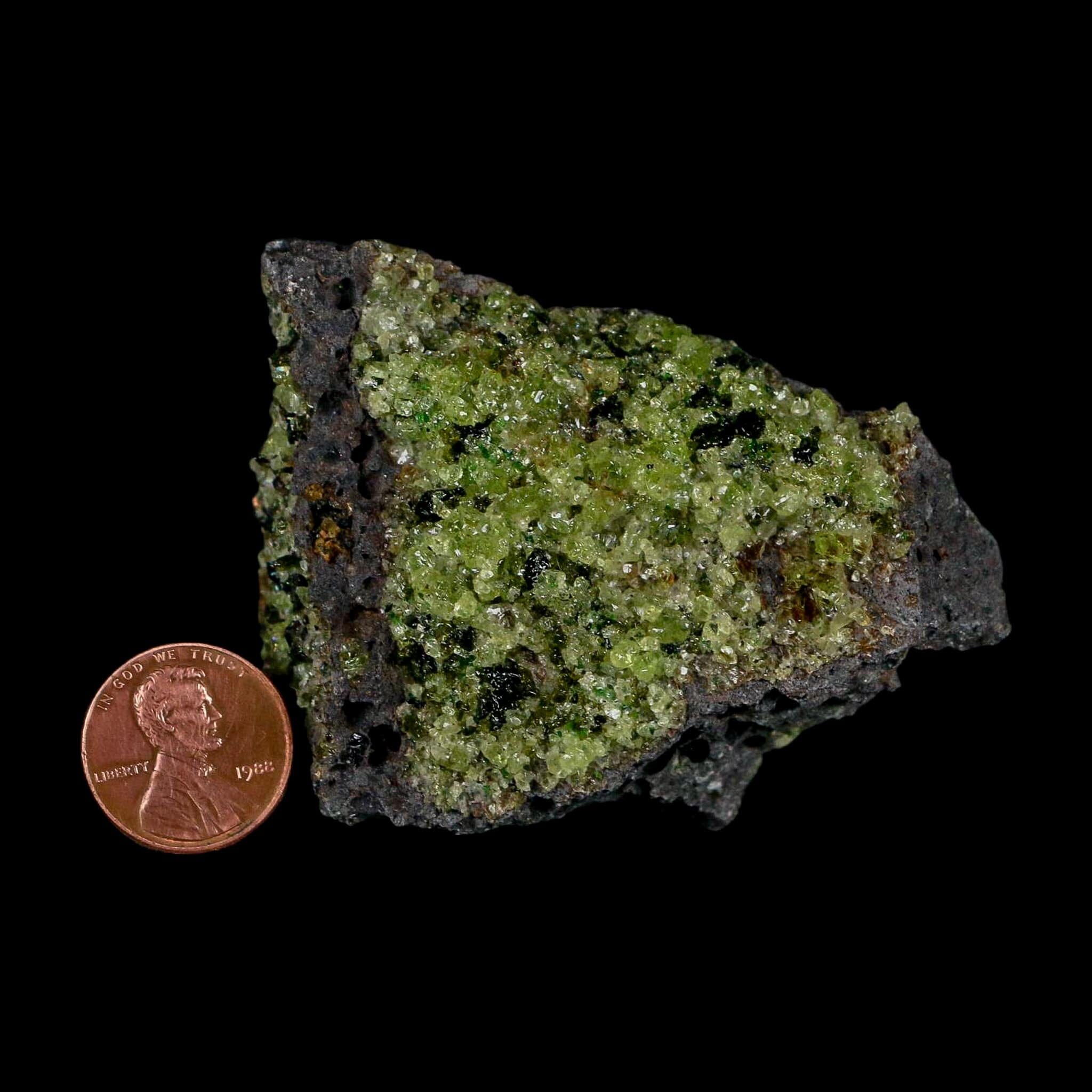 3" Emerald Peridot Crystals, Chrome Diopside And Spinel On Volcanic Rock Gila, AZ - Fossil Age Minerals