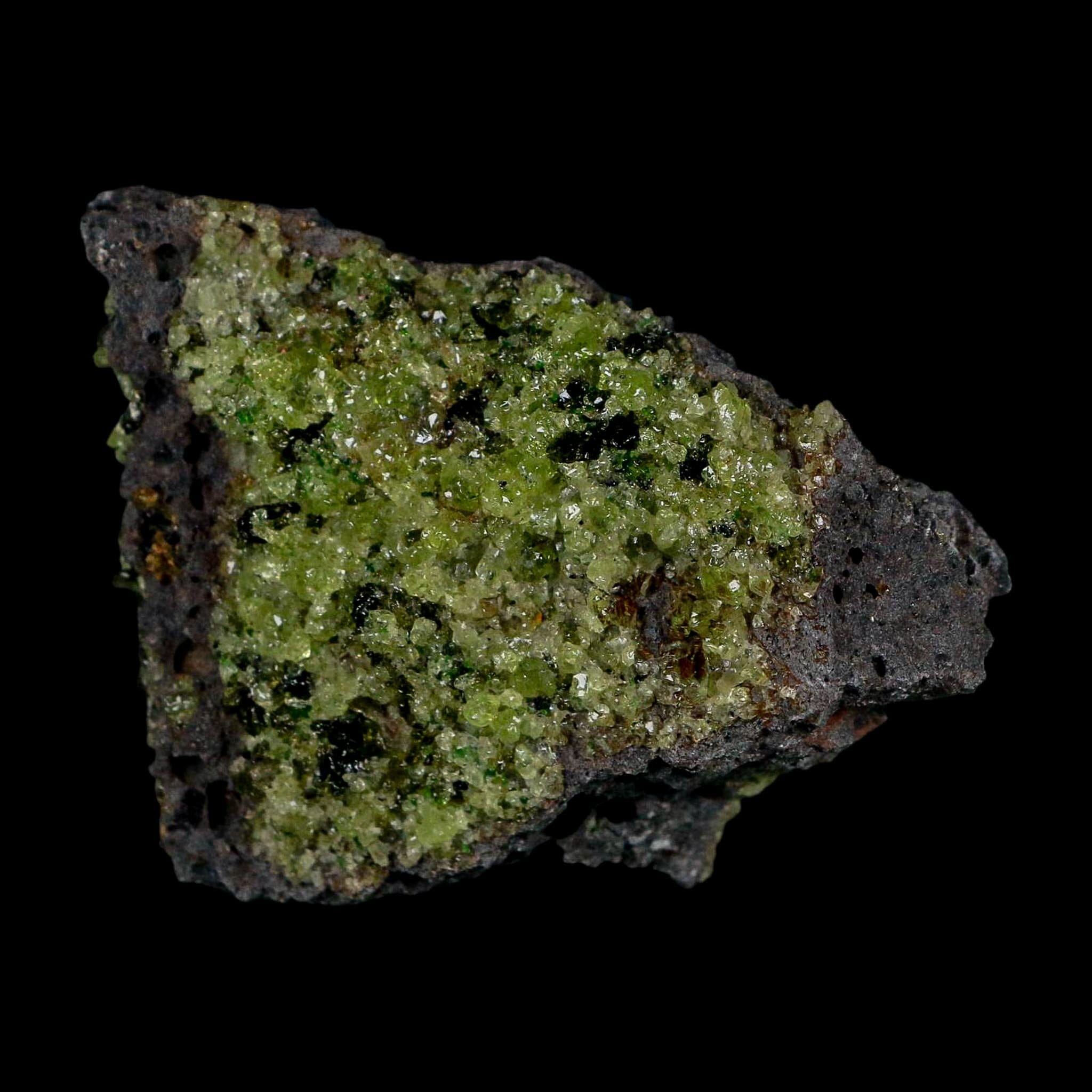 3" Emerald Peridot Crystals, Chrome Diopside And Spinel On Volcanic Rock Gila, AZ - Fossil Age Minerals