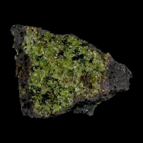 3" Emerald Peridot Crystals, Chrome Diopside And Spinel On Volcanic Rock Gila, AZ - Fossil Age Minerals