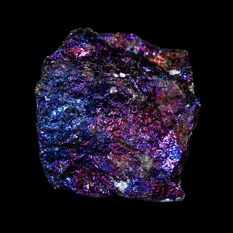 1.7" Chalcopyrite Bornite Brilliant Multicolored Peacock Ore Chihuahua Mexico - Fossil Age Minerals