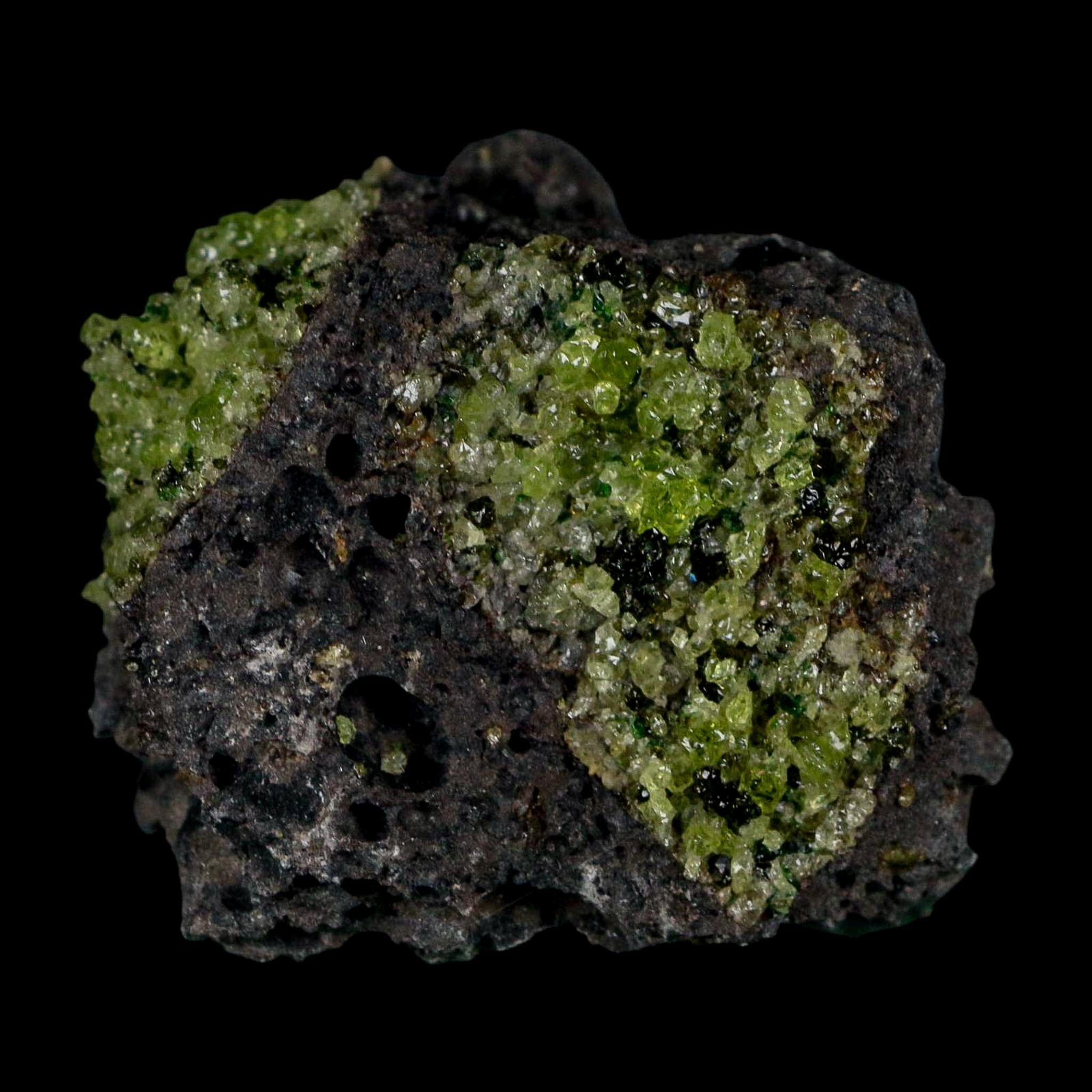 2.1" Emerald Peridot Crystals, Chrome Diopside And Spinel On Volcanic Rock Gila, AZ - Fossil Age Minerals