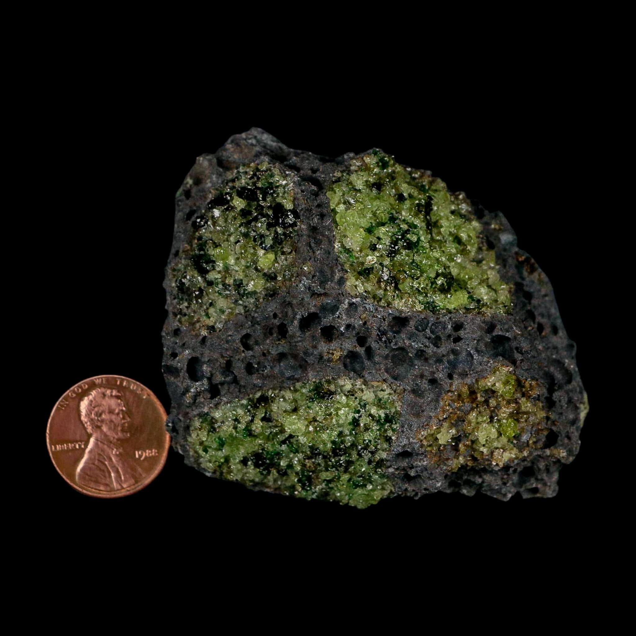 2.7" Emerald Peridot Crystals, Chrome Diopside And Spinel On Volcanic Rock Gila, AZ - Fossil Age Minerals