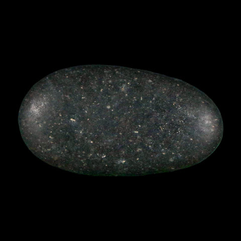 1.1" Sauropod Dinosaur Stomach Stone Gastrolith Rock Gizzard Stone COA